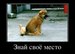 Виктор Куренной фотография #43