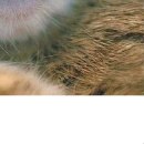 Никита Евсичев | 