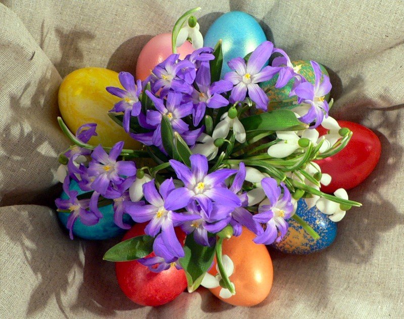 Марина Исаева | Санкт-Петербург