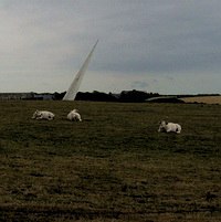 Аня Данилова | Москва