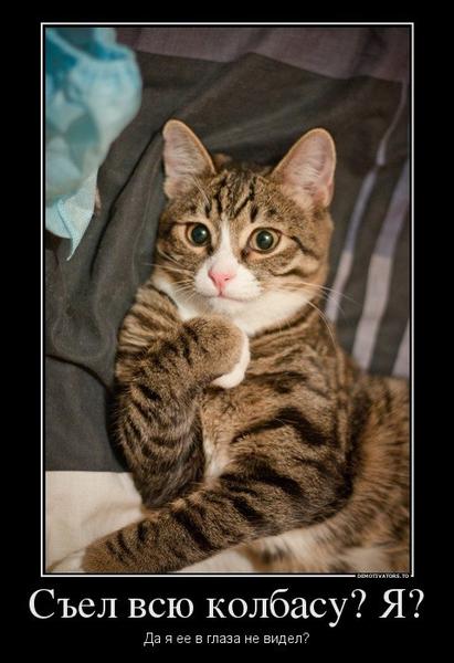 Марина Галиева, Россия, Москва