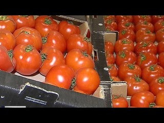 Какие проблемы ждут Турцию: экономический анализ