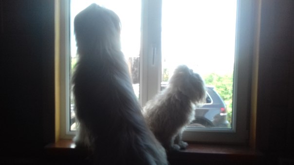 Дарья Гуласарян, Россия, Москва