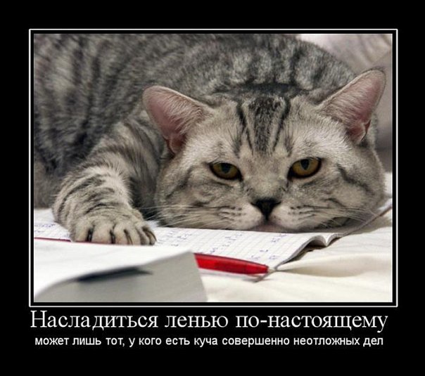 №58, Вероника Сахарова, 47 лет, Вологда №58, Вероника Сахарова, 47 лет, Вологда
