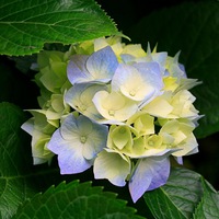 Динара Султанова