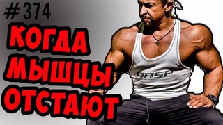 отстающие мышцы. что такое специализация