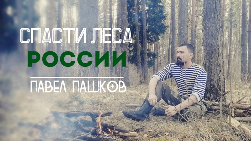 Экспедиция "Русская тайга" против уничтожения лесов России | Китай вырубает Сибирь и Дальний Восток