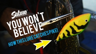 YOU WON’T BELIEVE HOW THIS LURE CATCHES PIKE!