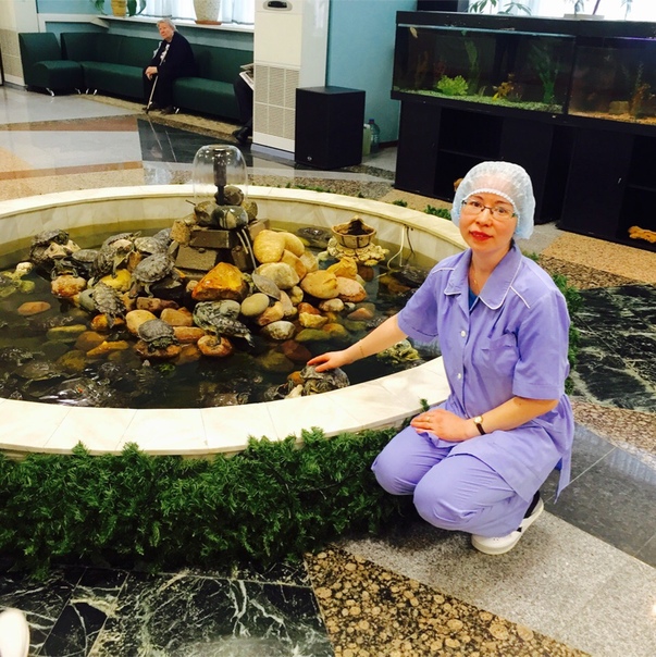 Венера Гизатуллина (Ильдаровна), Россия, Москва