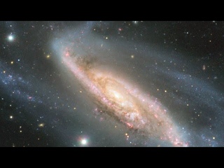 Panning across NGC 3981