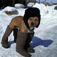 Николай Кузнецов