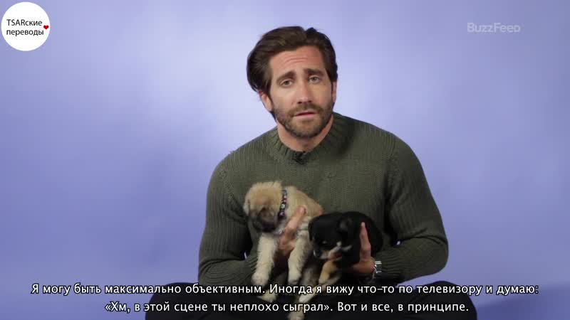 jake gyllenhaal puppy interview 2, 07,