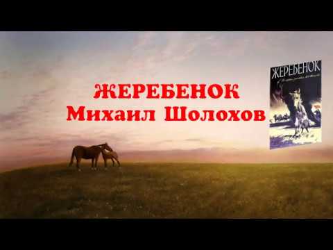 Саганюк Ирина Владимировна