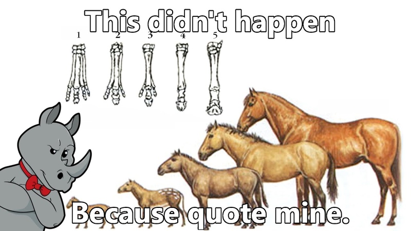Four Misunderstandings and Two Examples Prove Evolution Wrong,