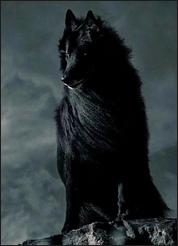 https://sun9-33.userapi.com/c858336/v858336590/1c4bf4/YACLEDURwvk.jpg