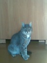 Фотография Хасановой Эльмиры