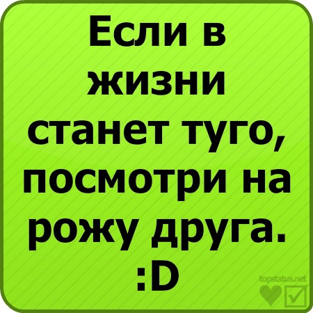 №5, Антон Мирошин, Москва №5, Антон Мирошин, Москва