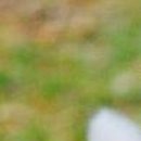 №156, Михаил Войтик, 28 лет, Минск №156, Михаил Войтик, 28 лет, Минск