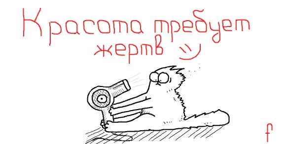 №11, Oleksandra Dobrynina, 28 лет, Киев №11, Oleksandra Dobrynina, 28 лет, Киев
