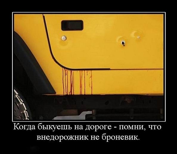 №24, Денис Сикочев, 35 лет, Днепр (Днепропетровск) №24, Денис Сикочев, 35 лет, Днепр (Днепропетровск)