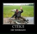 Фотография Паша Ращеня