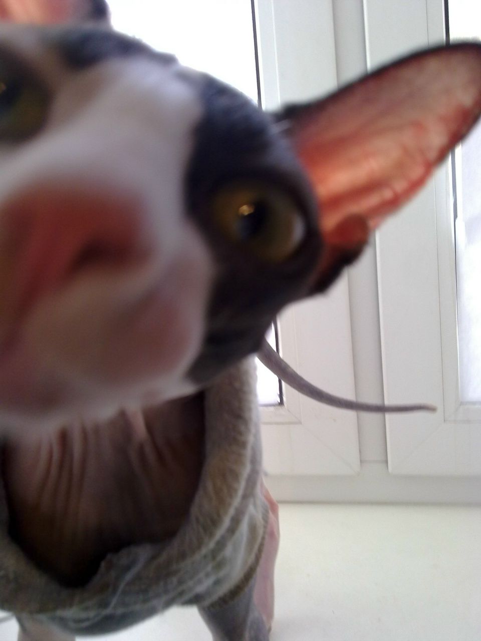 Марина Бородай | Москва