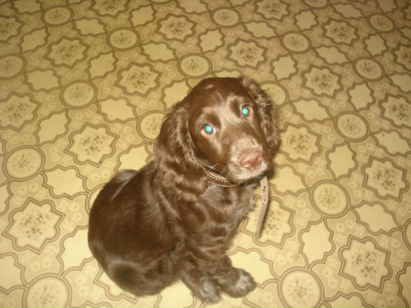 Анна Загвозкина | Копейск