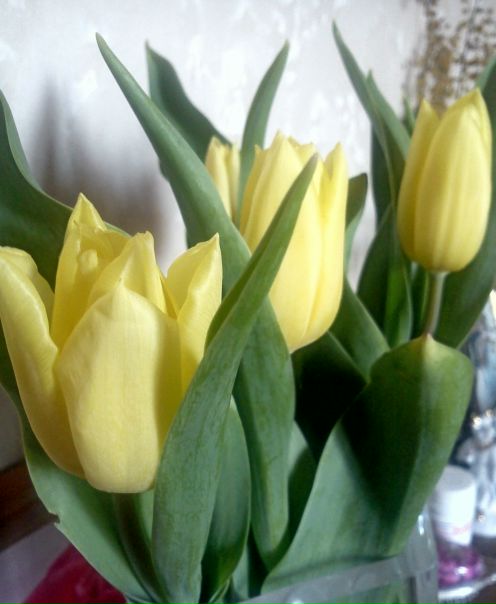 №47, Даниил Чернышов, Санкт-Петербург №47, Даниил Чернышов, Санкт-Петербург