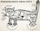 Виктория Серебреникова, Северодвинск, Россия, 07.09