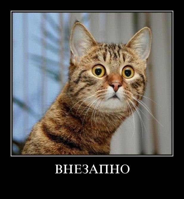 Марік Новаковський ►►►► | Тернополь