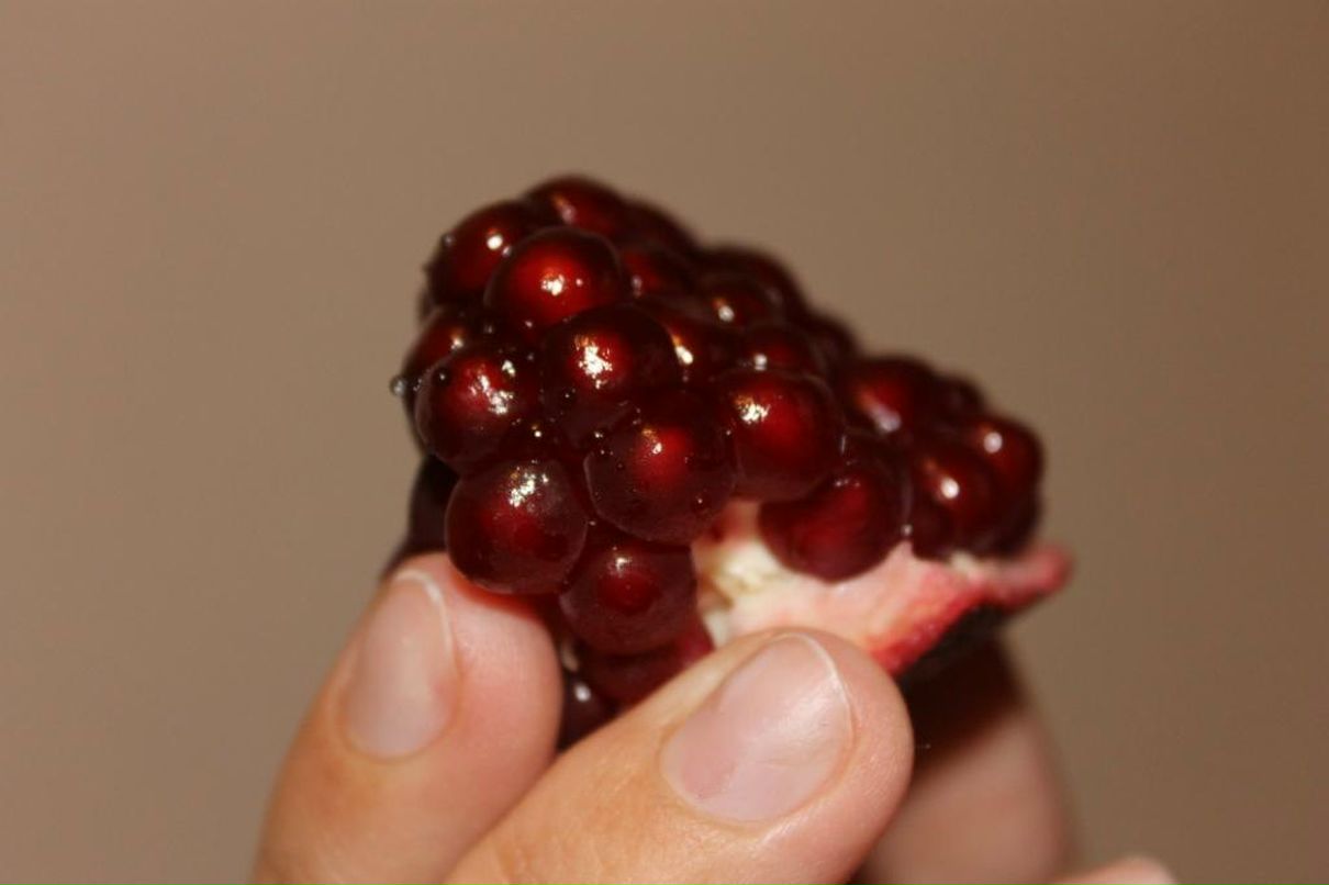 Екатерина Макарцова Олеговна | Новосибирск