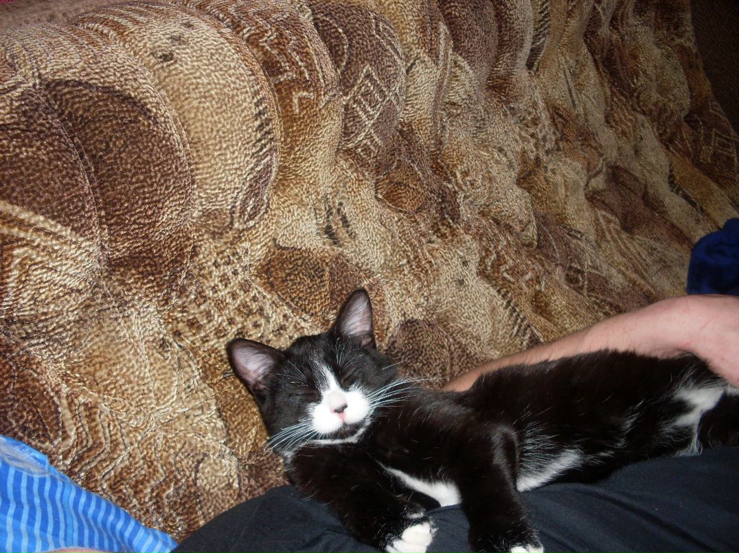 Вадим Прохоренко | Санкт-Петербург