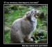 Иван Дымов фотография #18