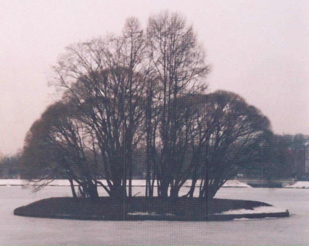 Илья Азаров | Los Angeles