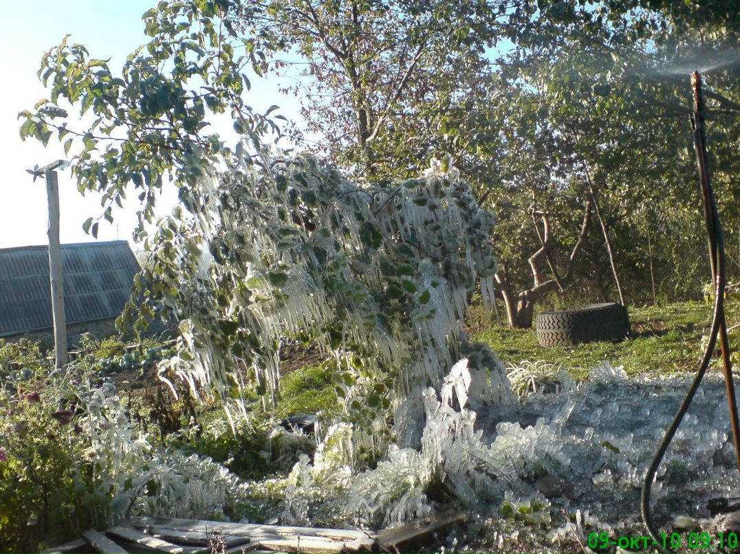 Владимир Соменков | Нижний Новгород