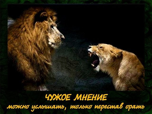 Ирина Трещенко | Красноярск