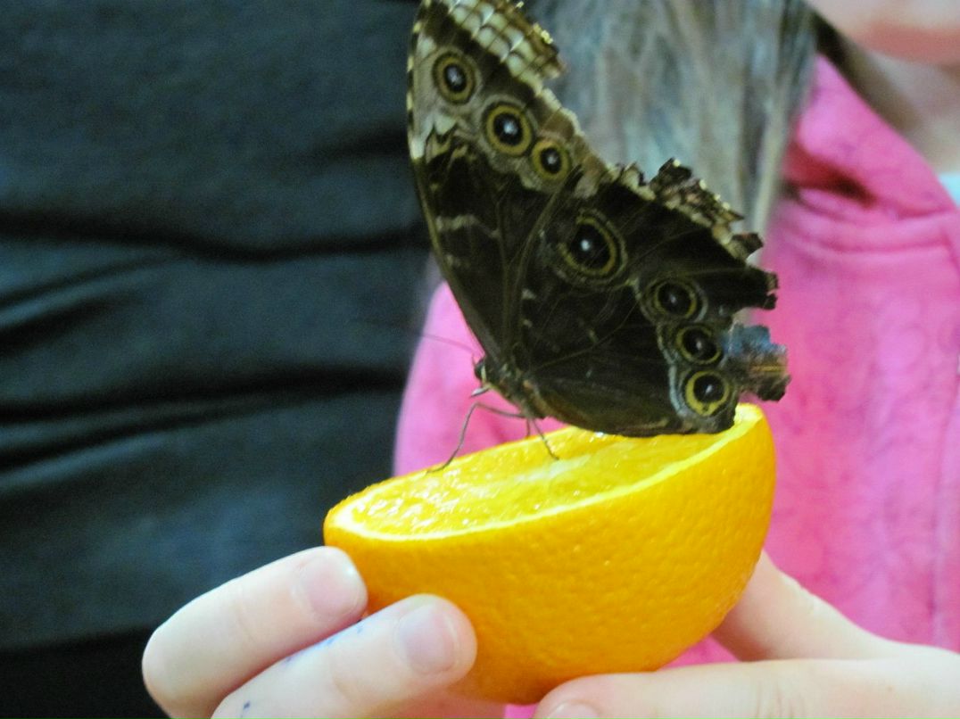 Сергей Пузыревич | Минск