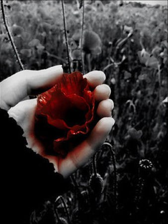 Андрей Соколов | Санкт-Петербург