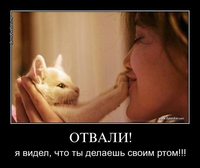 Карина Петелина | Москва