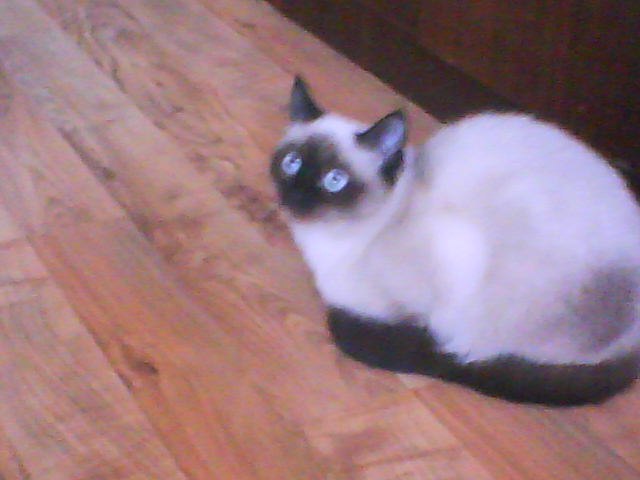 Мария Ткачёва | Казань