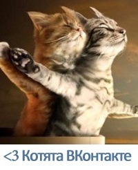 №20, Ольга Унгурян, Одесса №20, Ольга Унгурян, Одесса