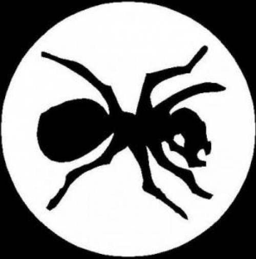 Александр Яковлев | Санкт-Петербург