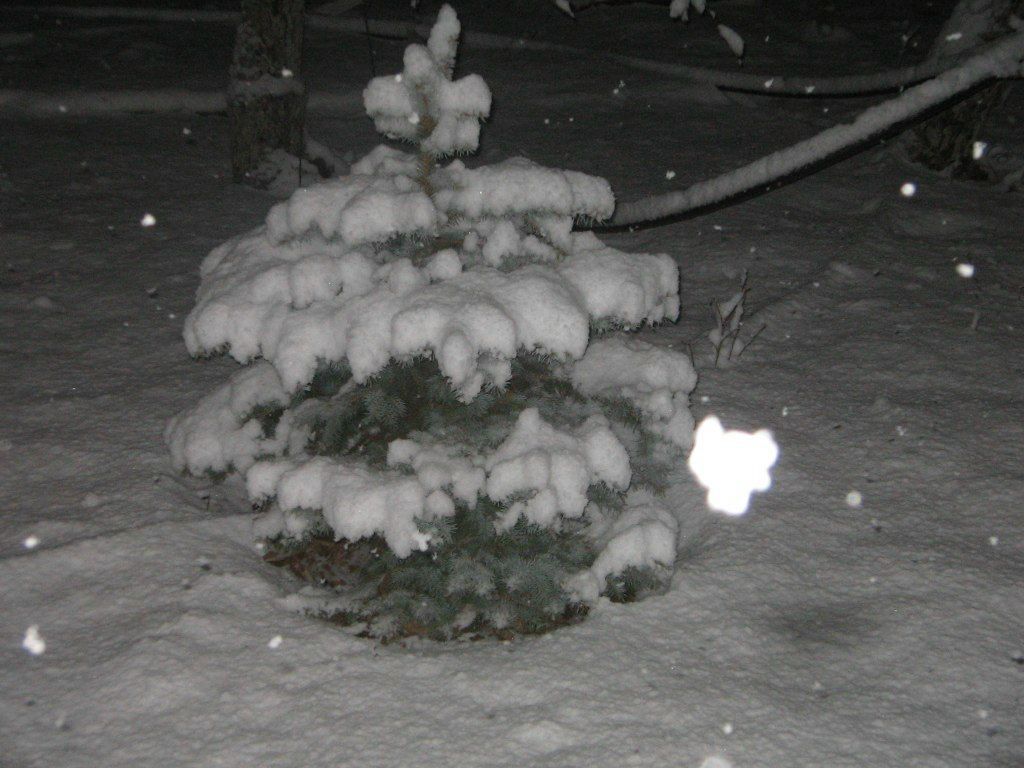 Оксана Федчик | Щелкино