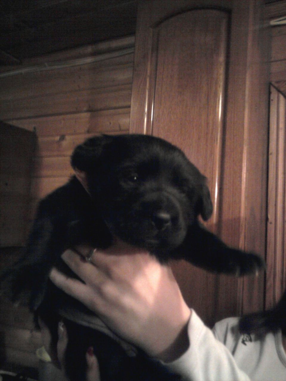 Света Мещерякова | Москва