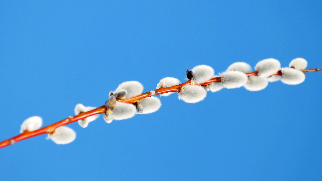 Ольга Рыжкова | Казань