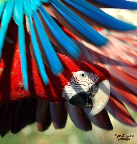 Алексей Извеков МОСКВИЧ | Москва