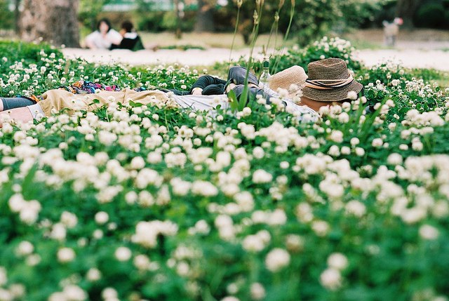 Совка Наветке | Казань