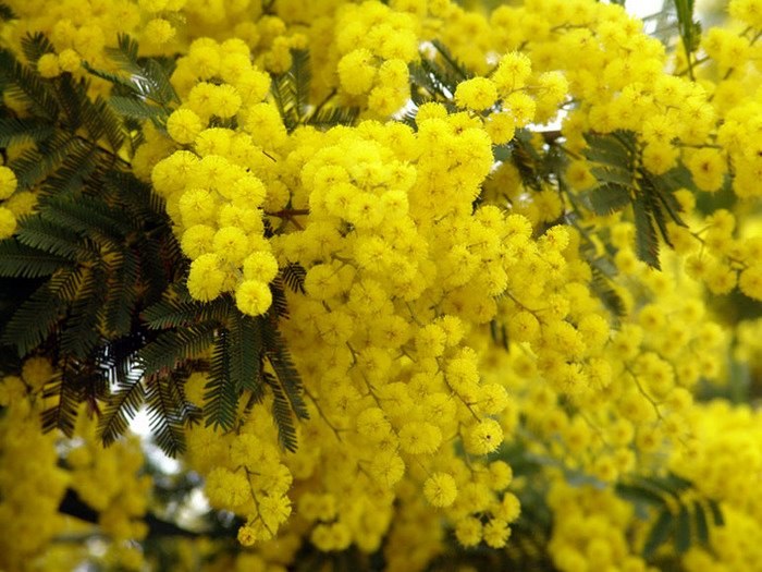 Виталий Ронин | Одесса