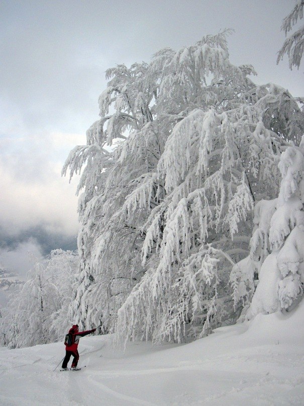 Андрей Жук | Ужгород
