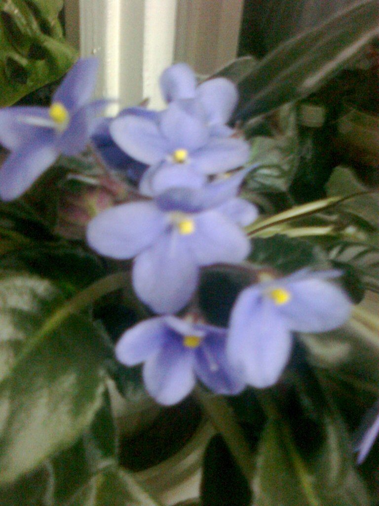 Ирина Леонтьева | Чебоксары